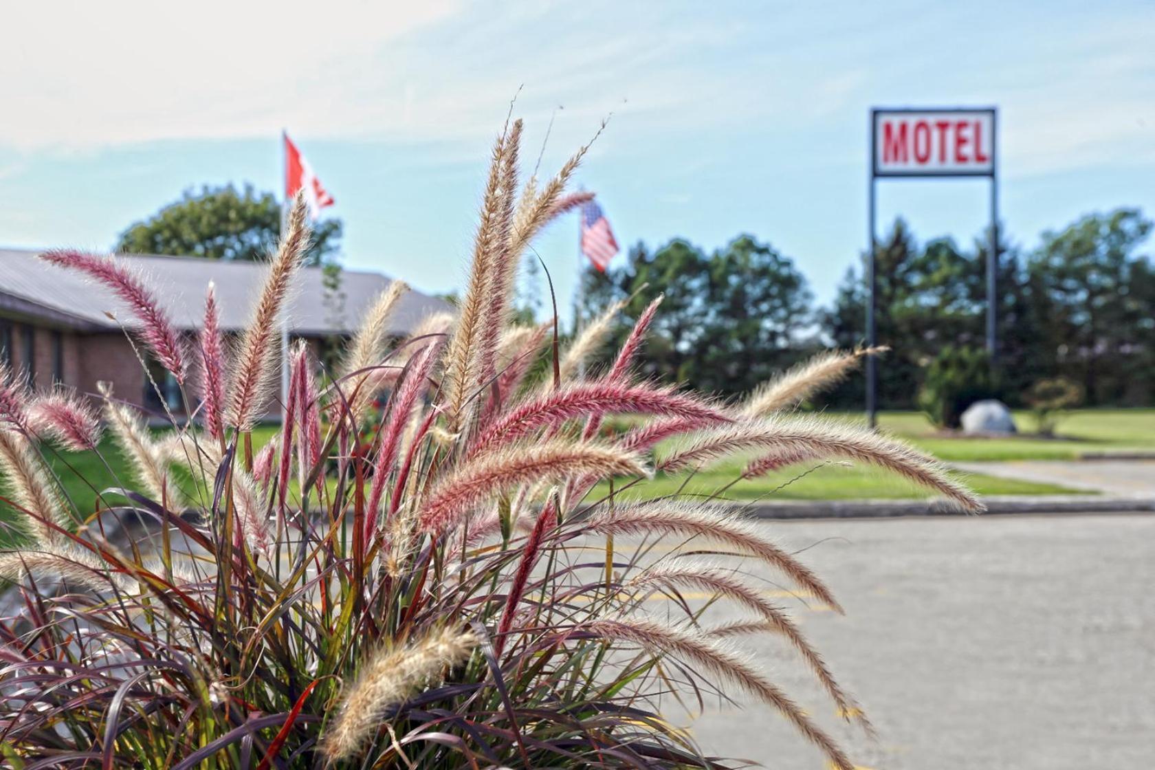 King Hotel Palmerston Luaran gambar