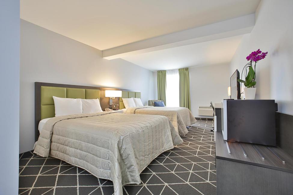 King Hotel Palmerston Luaran gambar